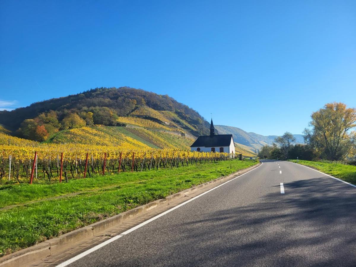 Ferienhaus Dhrontal Neumagen-Dhron Exteriör bild